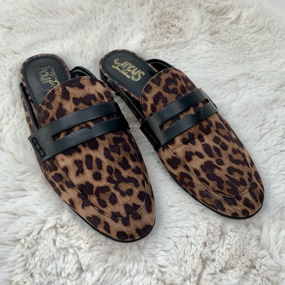 Circus by Sam Edelman Leopard Paulie Loafer Mule, 8
